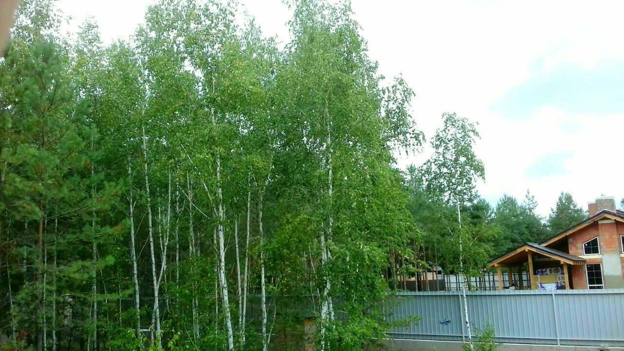 Ділянка під будівництво 30 соток в КМ Green Wood club від забудовника, смт Козин